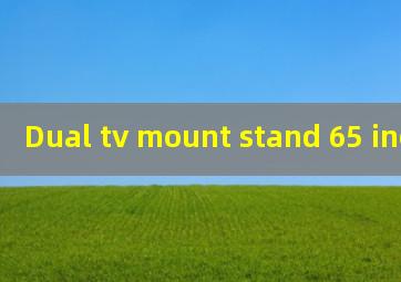  Dual tv mount stand 65 inch